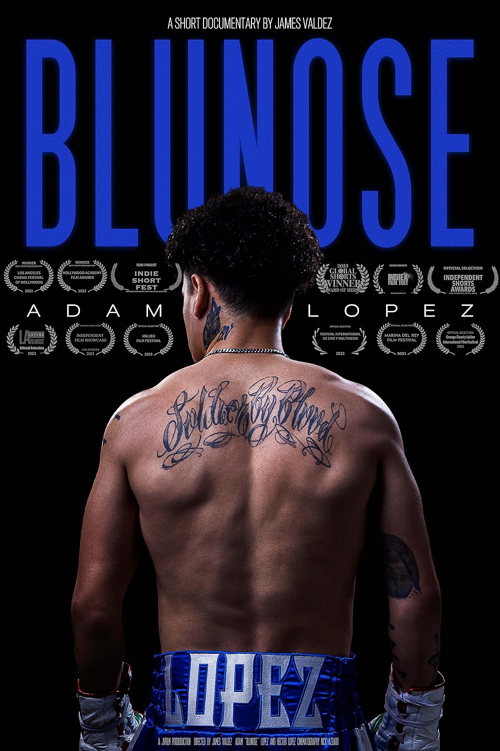 Blunose poster